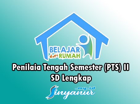 PTS sinyanur